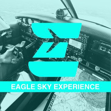 Cockpit view with Eagle Sky Experience logo overlay.