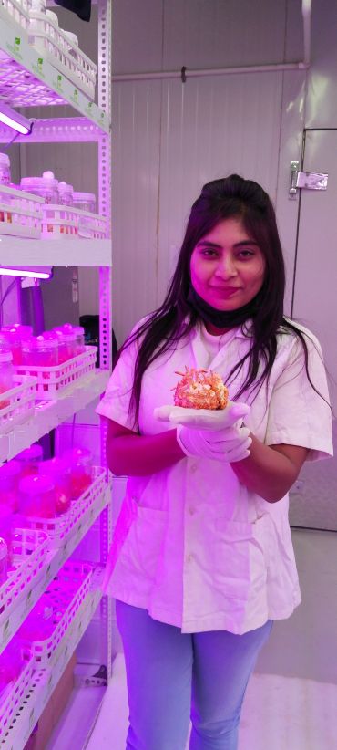 Scientist holding a specimen in a lab with purple lighting.