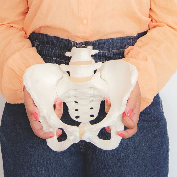 Person holding a pelvic bone model.