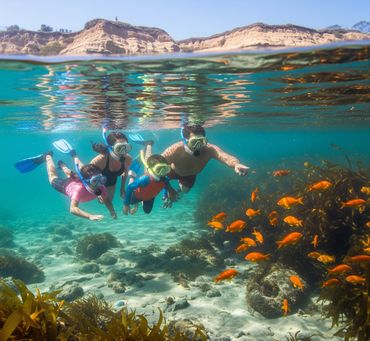 Family Snorkeling in La Jolla, CA