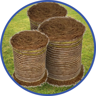 LONG LEAF ROLLS IN GULF SHORES