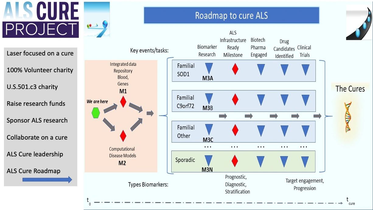 Our Team ALS CURE Project