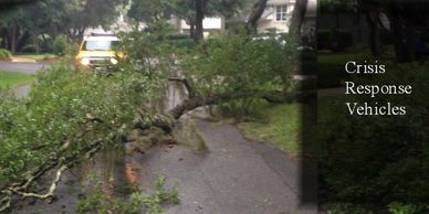 A fallen tree blocks a road with a crisis response vehicle nearby.
