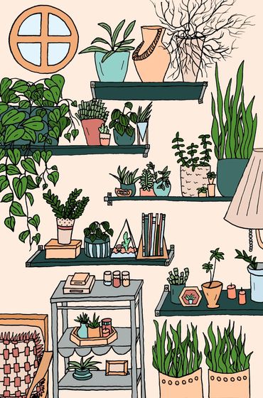 A drawing of a plant wall