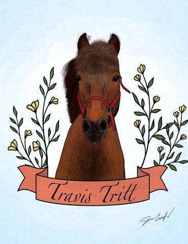 A brown horse with flowers around him and a banner that says Travis Tritt