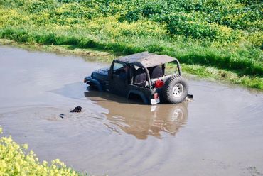 Mistakes were made...