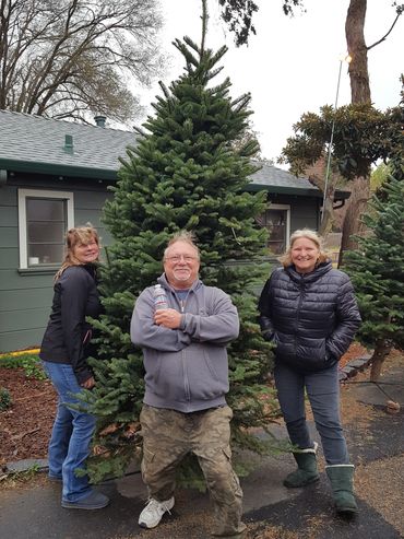 We sell Christmas trees every year to our neighbors