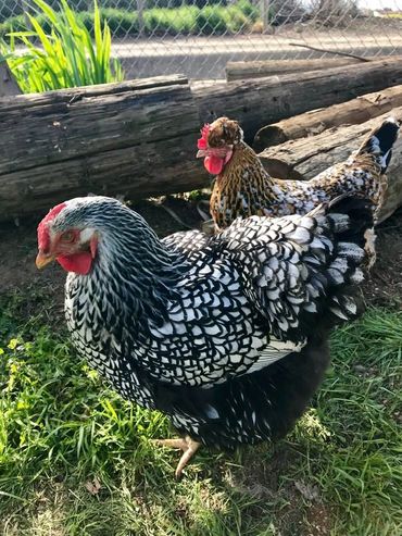 We're in a pretty rural environment