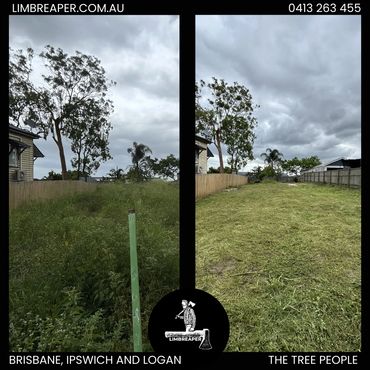 Acreage block overgrown now mowed and under control in Logan from Limb Reaper