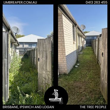 Overgrown grass now mowed by Limb Reaper in Ipswich