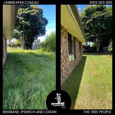 Overgrown lawn now mowed and taken care of in Regents Park by Limb Reaper