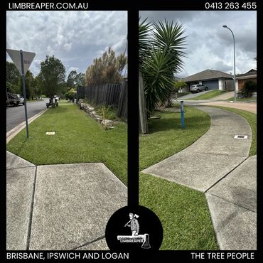 Edging and lawn maintenance on the corner block with footpath in Brisbane completed by Limb Reaper