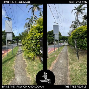 Lawn maintenance and hedging before and after photos in Brisbane done by Limb Reaper