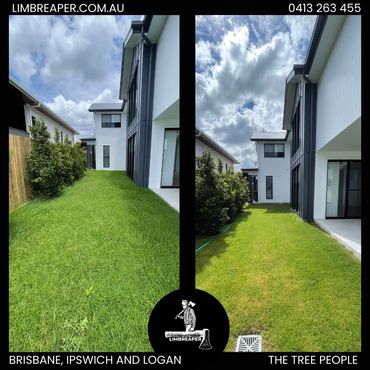 Lawn Maintenance before and after in Back yard in Brisbane by Limb Reaper