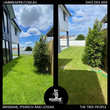 Before and after photo of lyard maintenance in back yard in Brisbane by Limb Reaper