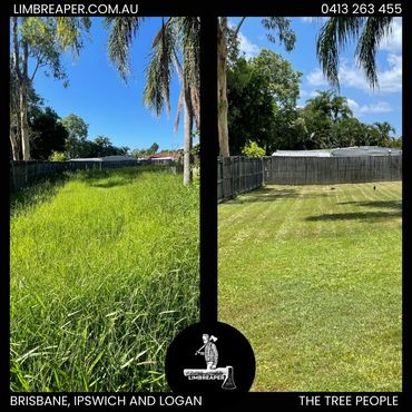 Before and after lawn mowing and maintenance by Limb Reaper in Ipswich.