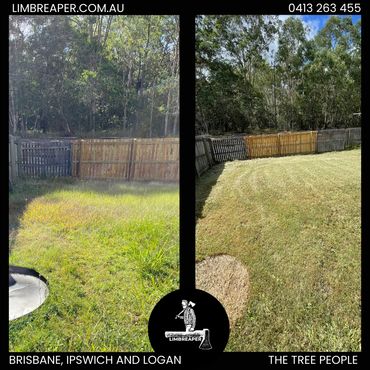 Before and after of backyard lawn mowing completed in Logan suburb by Limb Reaper
