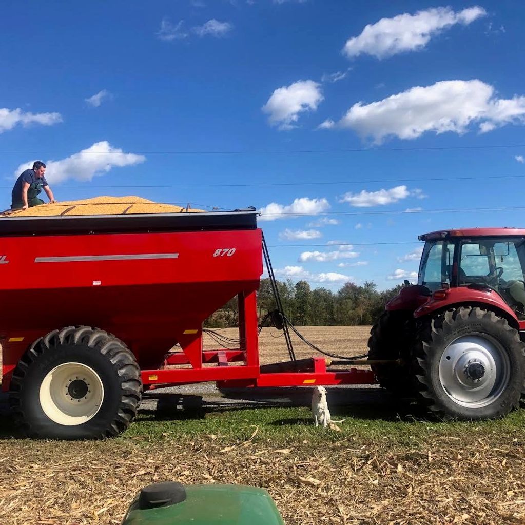 A man on a red grain trailer attached to a tractor with a dog nearby in a field.