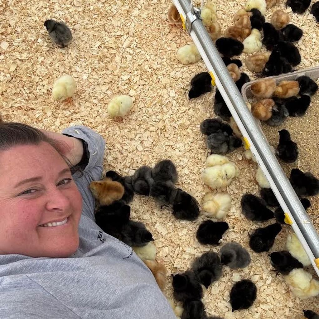 Smiling woman lying among a group of colorful baby chicks on wood shavings.