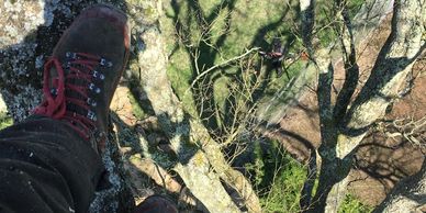 Tree Surgeon doing some work to a huge Ash tree in the Meon Valley.
