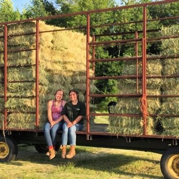 These girls helped hay our fields at the farm