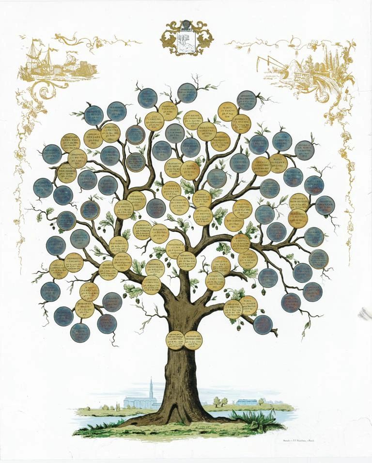 Family tree Van den Heuvel