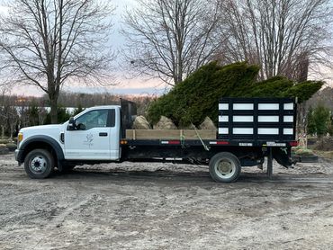 JByrd Nurseries delivering Emerald Green evergreen screen planting tree