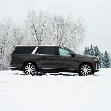 Denver Airport Transportation