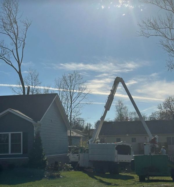 Tree Service Work in Winchester Kentucky
