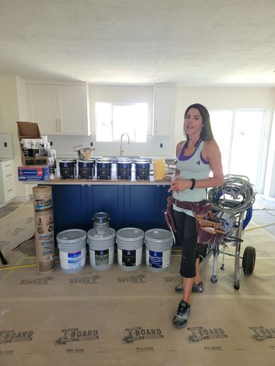 Paint - Sherwin Williams, Graco Paint Sprayer