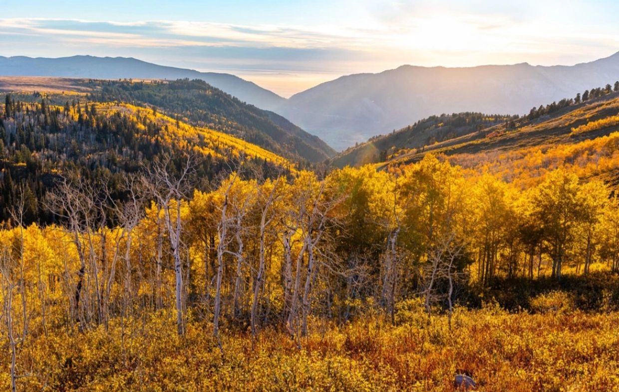Powder Mountain located in Eden, Utah
