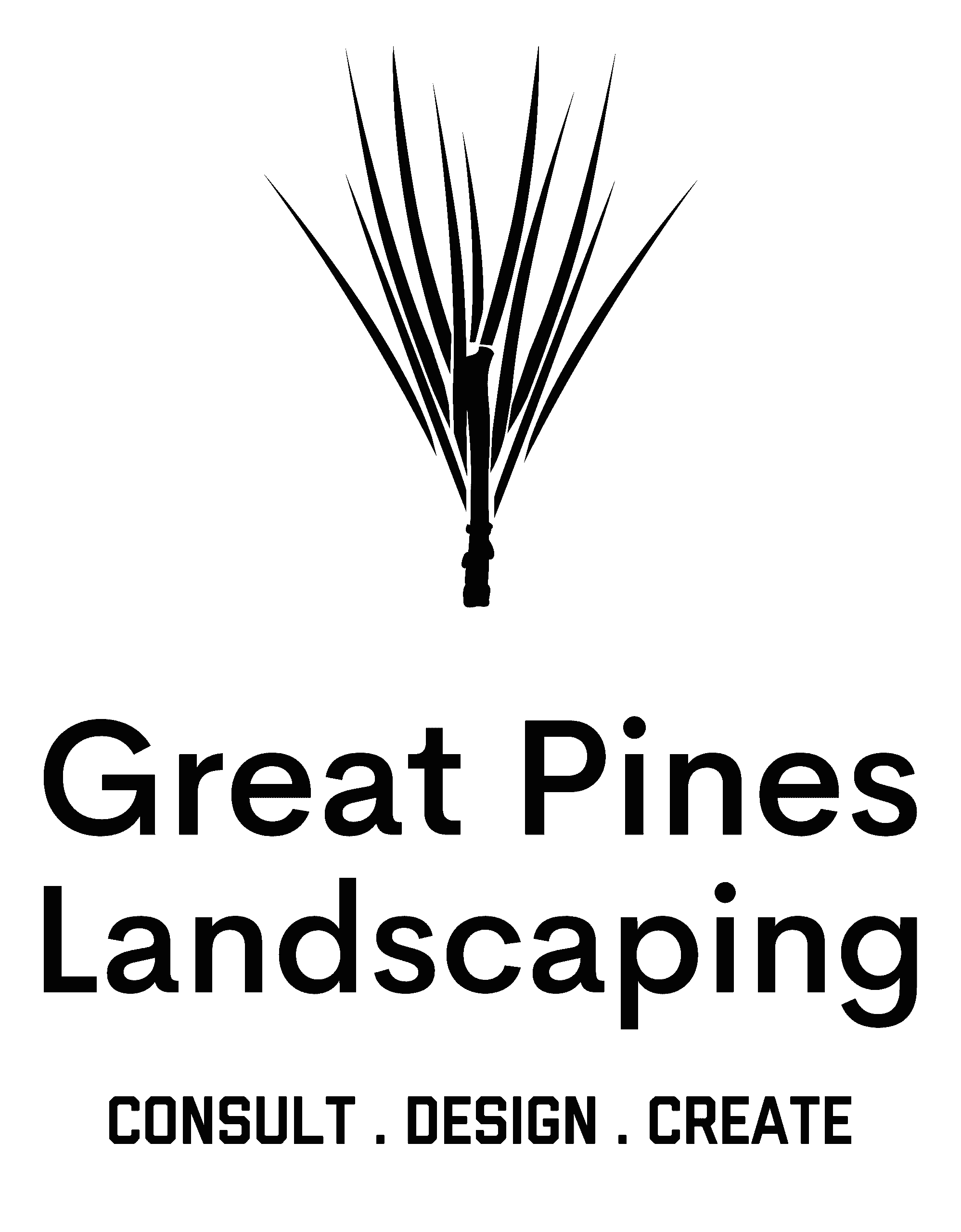 Pine Tree Needle