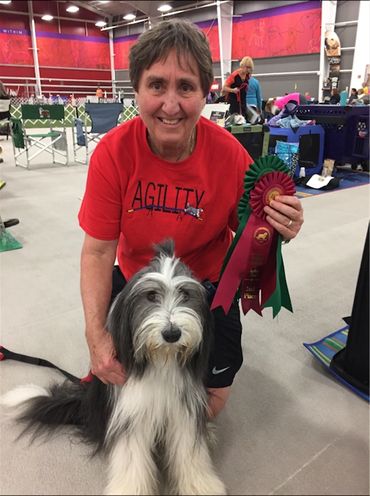 Bearded Collie Purina Event Center agility