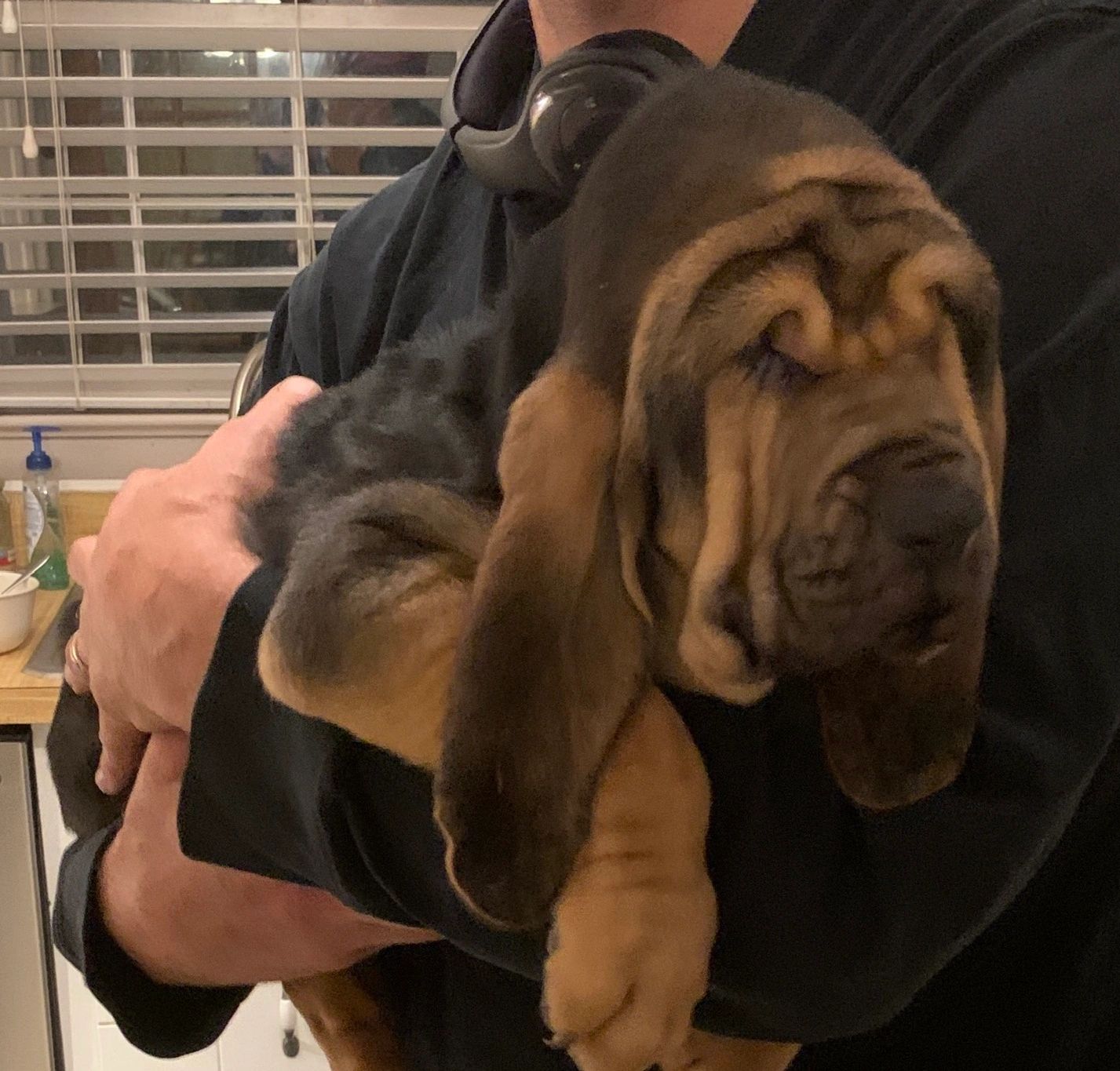 Lucy x Junior female