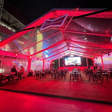 Carpa para eventos, pabellon importado, transparente de 12 metros