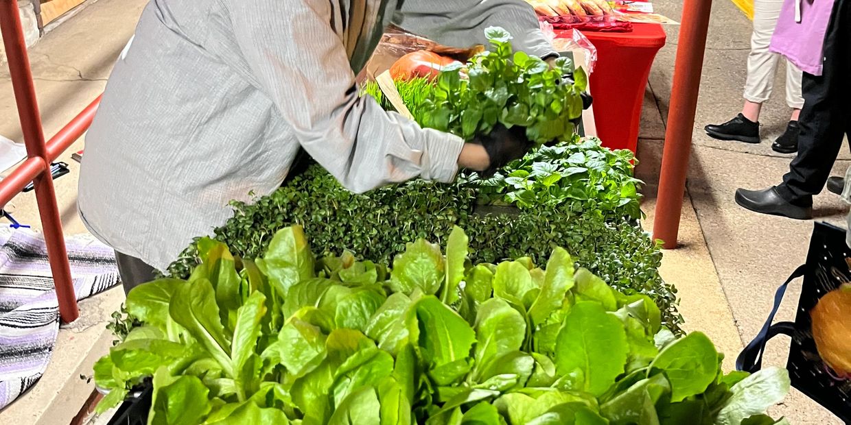 Person arranging fresh green herbs at a market stall.