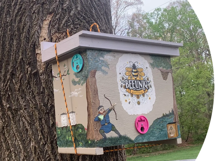Swarm trap on a tree.