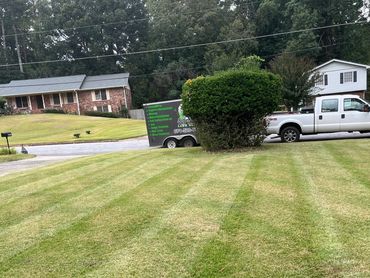 Freshly mowed lawn with striped grass patterns in a suburban neighborhood.
