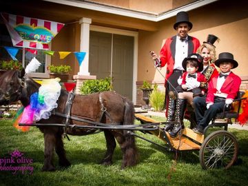 Princess cart pulled by mini-horse