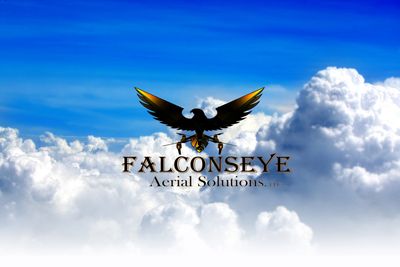             Falconseye Aerial Solutions Logo