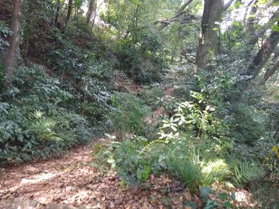 Sakaiminato, Japan - August 2019.
Photo by: Chris Saucedo.