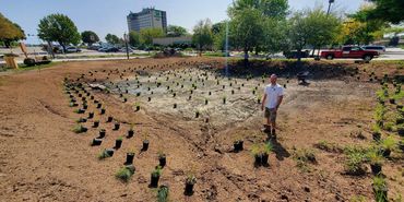 Drake University Stormwater Capture Rain Garden Storm Water Management Native Plants Water Filter