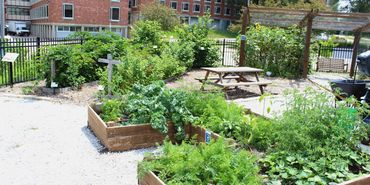 Learning Garden & Food Forest Drake University Permaculture Raised Beds Community Garden