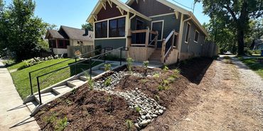 Dry Stream and Native Plants