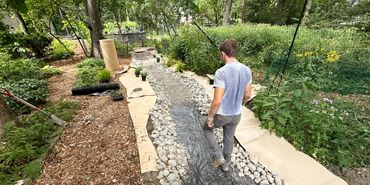 Dry Stream with Native Plants