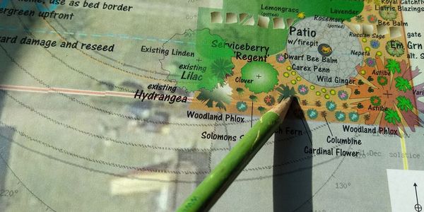 Landscape Design
