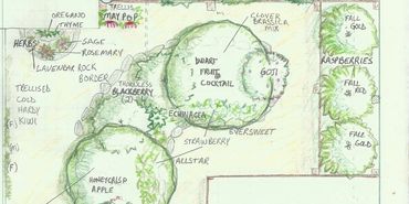Permaculture Design
