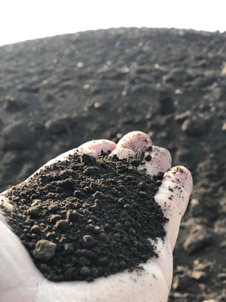Dyed mulch, black mulch, bark mulch, topsoil, soil, dirt, compost, crushed limestone, gravel, sand