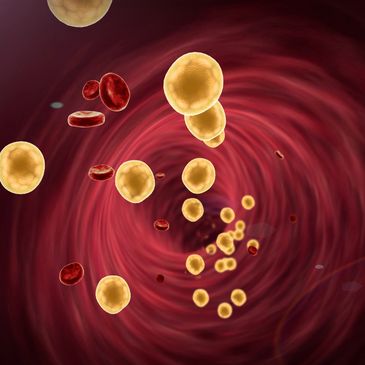 Illustration of blood cells flowing through a blood vessel.