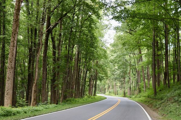 Smoky mountains, Tennessee, road, Barry altmark, photography, fine art photography